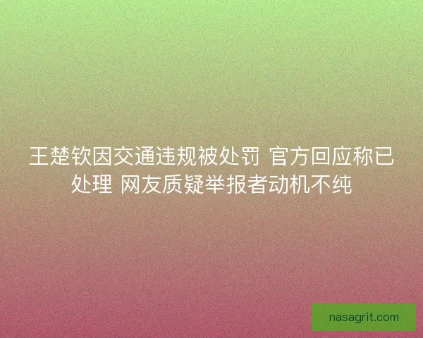 王楚钦因交通违规被处罚 官方回应称已处理 网友质疑举报者动机不纯