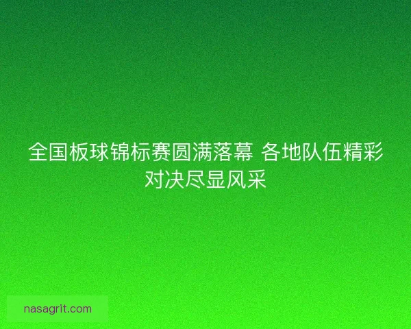 全国板球锦标赛圆满落幕 各地队伍精彩对决尽显风采