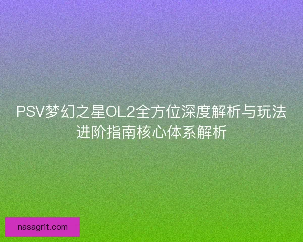 PSV梦幻之星OL2全方位深度解析与玩法进阶指南核心体系解析
