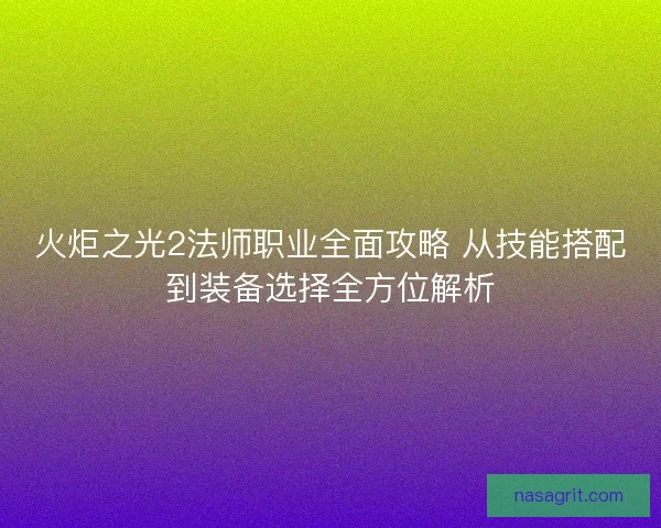 火炬之光2法师职业全面攻略 从技能搭配到装备选择全方位解析